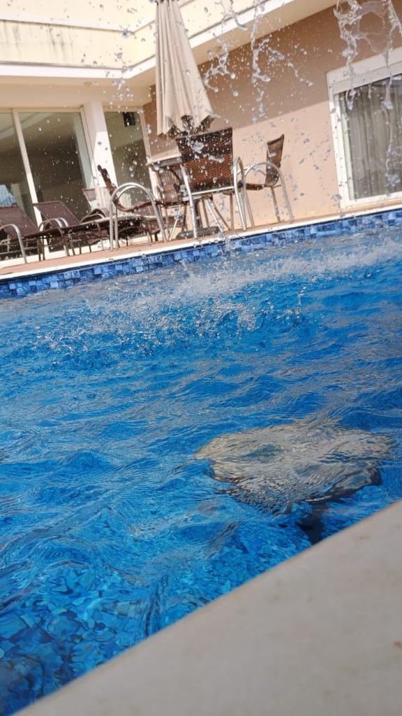 Detalhe de Cascata e Queda d'Água
